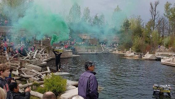 Rauchbombe in Delfinlagune: Rauchbombe in Delfinlagune: