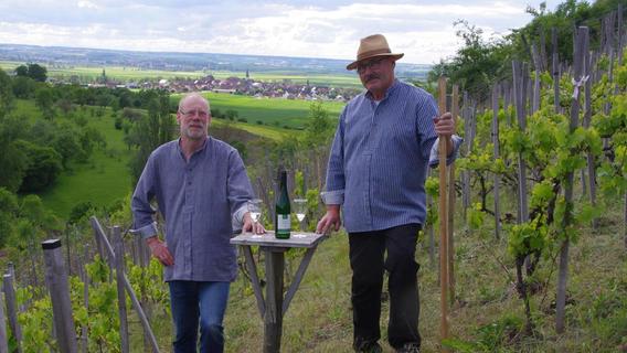 Wein der besonderen Art gedeiht in Ickelheim - Nordbayern.de