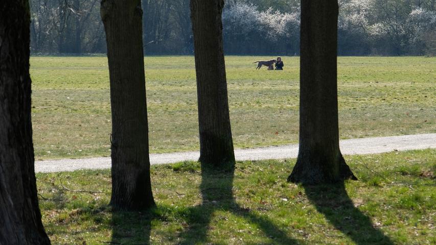 Sonne, Blüten, Polizei: Beamte kontrollieren in Nürnbergs Parks