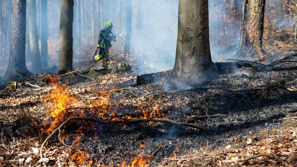 Waldbrandgefahr, 05.04.2020, im Rochlitzer Bergwald kommt es an einem Wanderweg zu einem kleinen Waldbrand. Auf einer F