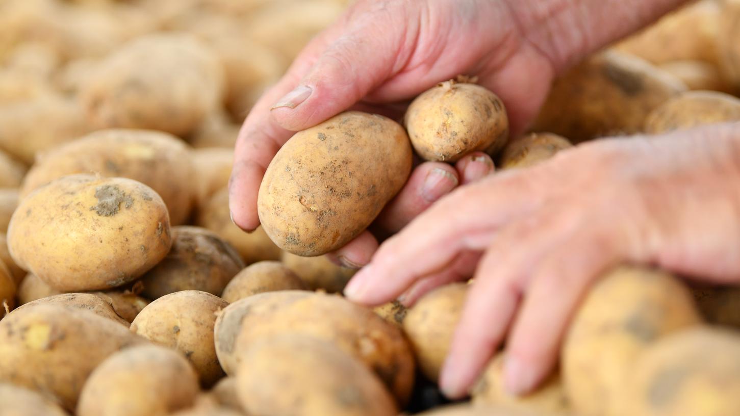 Kartoffeln sind für sich schon vielseitig einsetzbar und gesund. Gleiches gilt für Kartoffelwasser.