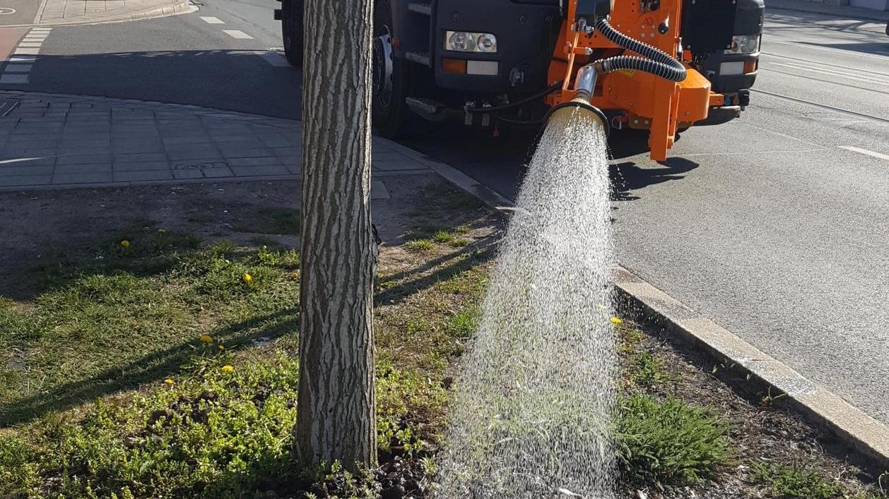 Start in die Gießsaison 2020: Ein Tankwagen des Servicebetriebs Öffentlicher Raum (Sör) befeuchtet einen Baum an der Ostendstraße ausgiebig.