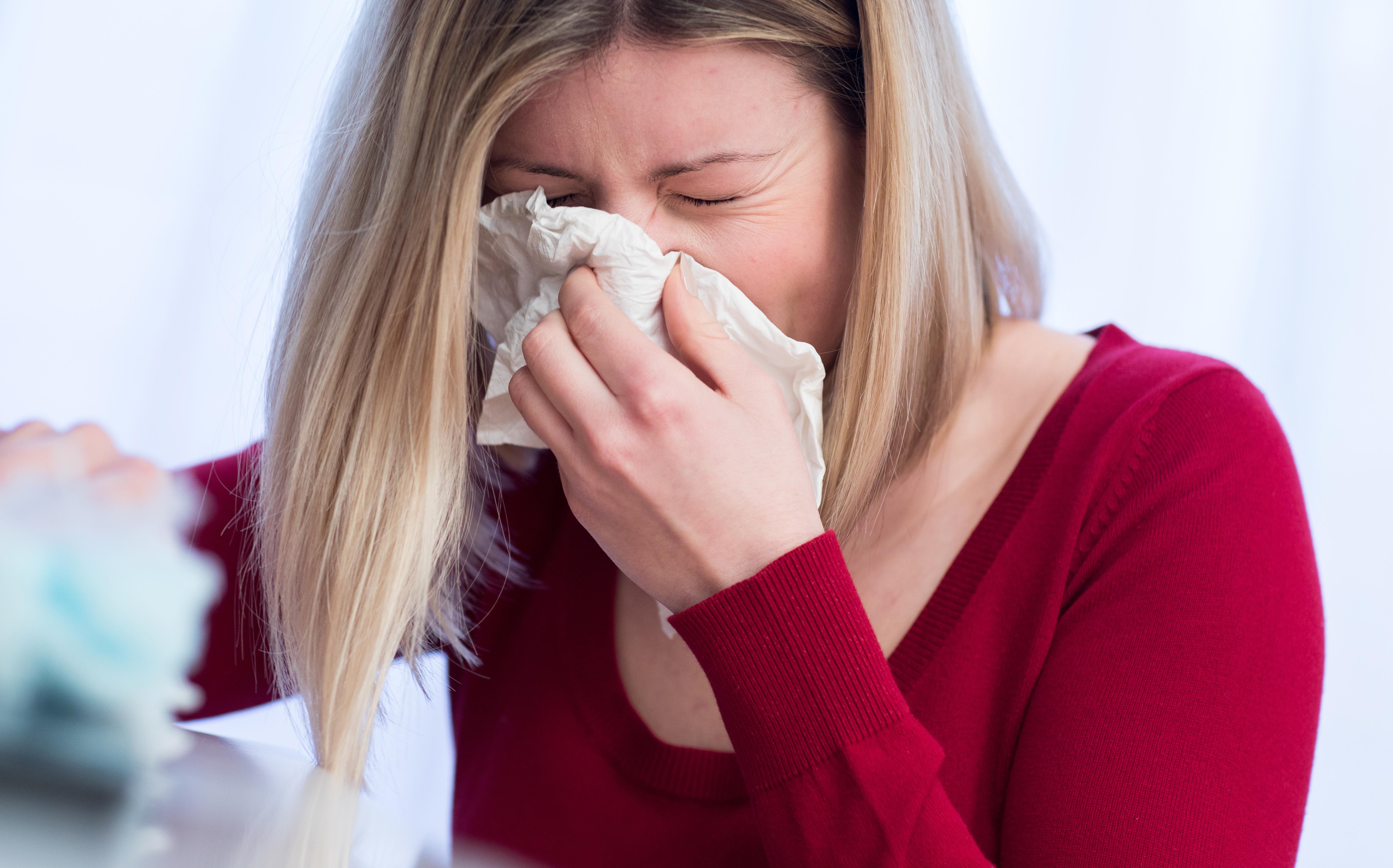Spore statt Polle: Dauerschnupfen kann viele Ursachen haben