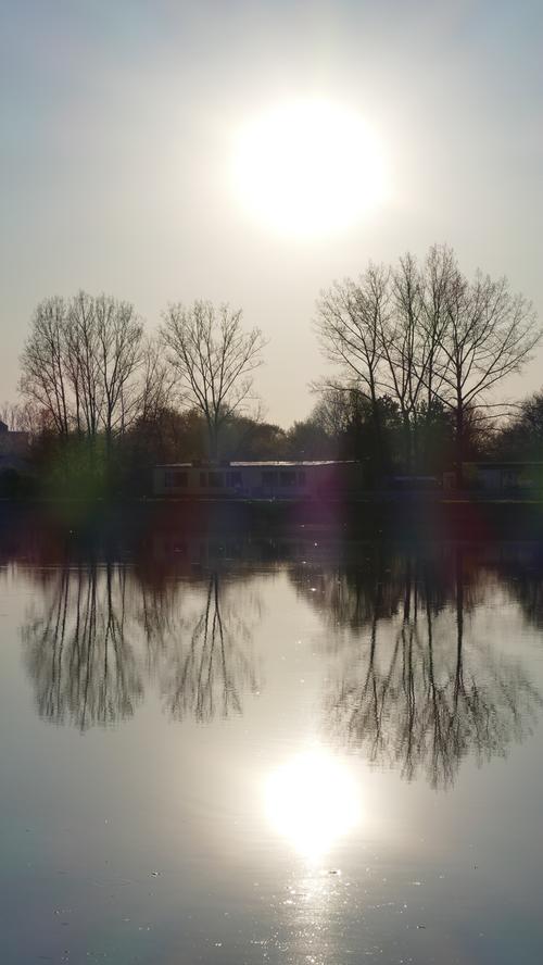 Idyllisch: Die Abendsonne und kahle Bäume spiegeln sich im Main-Donau-Kanal am Fürther Hafenbecken.