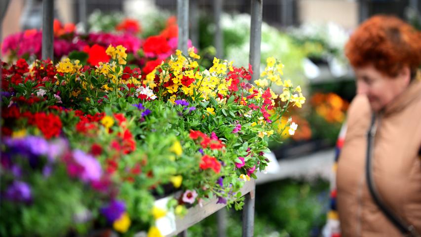 Gute Nachrichten für alle Heimwerker: Bau- und Gartenmärkte sowie Gärtnereien dürfen als erstes wieder ihre Pforten öffnen. Los geht es am Montag, 20. April.