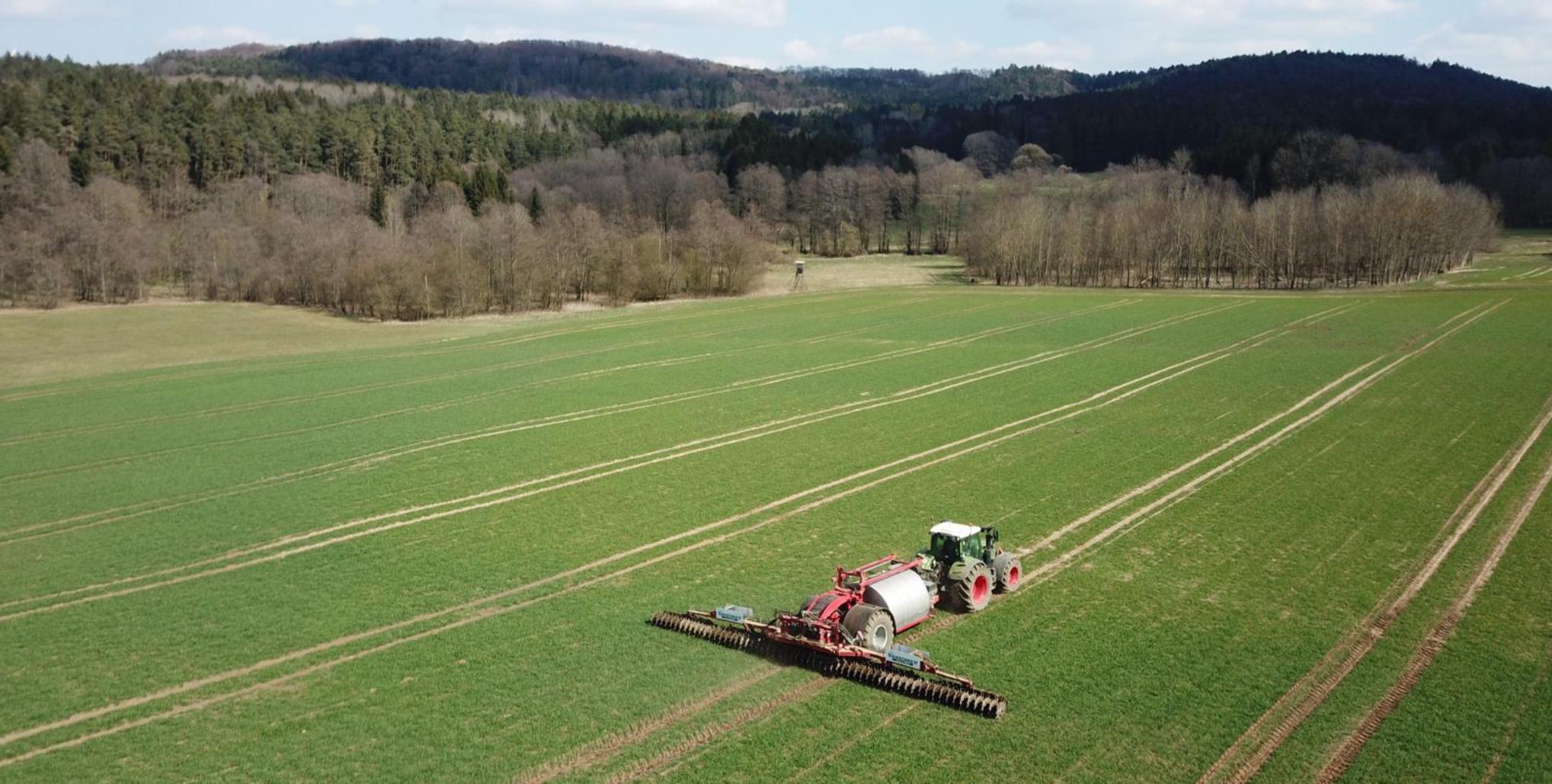 mit was zitronenbaum düngen Zitrusdünger - Mineralischer NPK Flüssigdünger mit Stickstoff
