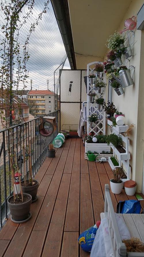 Balkon, Garten, Küchenfenster: Das sind die schönsten Ausblicke unserer User