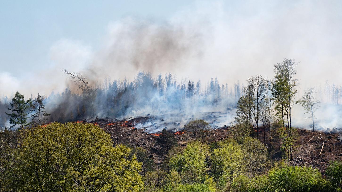 Trockenheit und kein Regen: Aktuell besteht hohes Waldbrandrisiko in Franken.