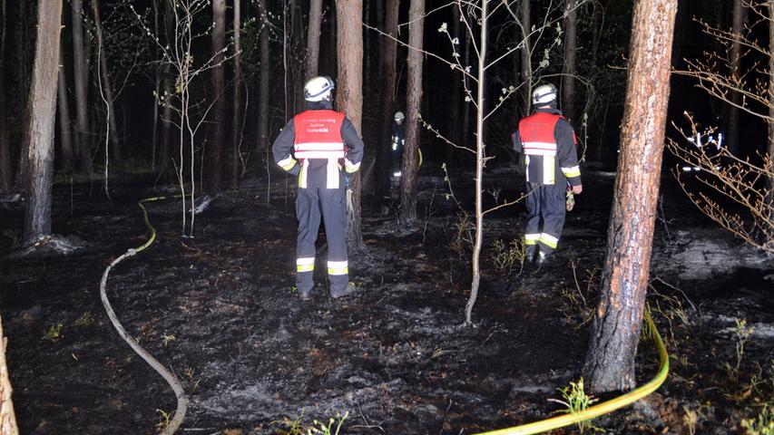 Einsatzkräfte rücken aus: Waldstück am Flughafen in Flammen