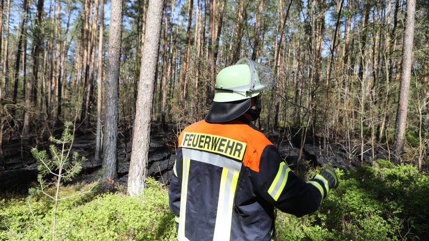 Aus bisher ungeklärten Tatsachen: Feuer bricht in Fürther Stadtwald aus
