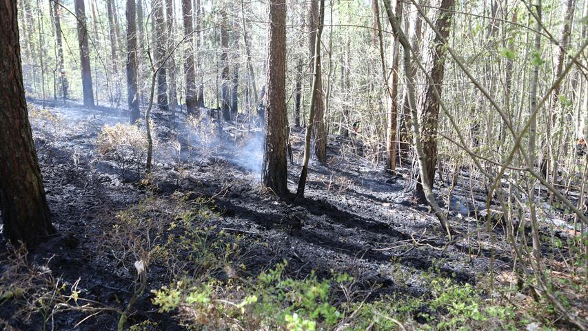 Aus bisher ungeklärten Tatsachen: Feuer bricht in Fürther Stadtwald aus