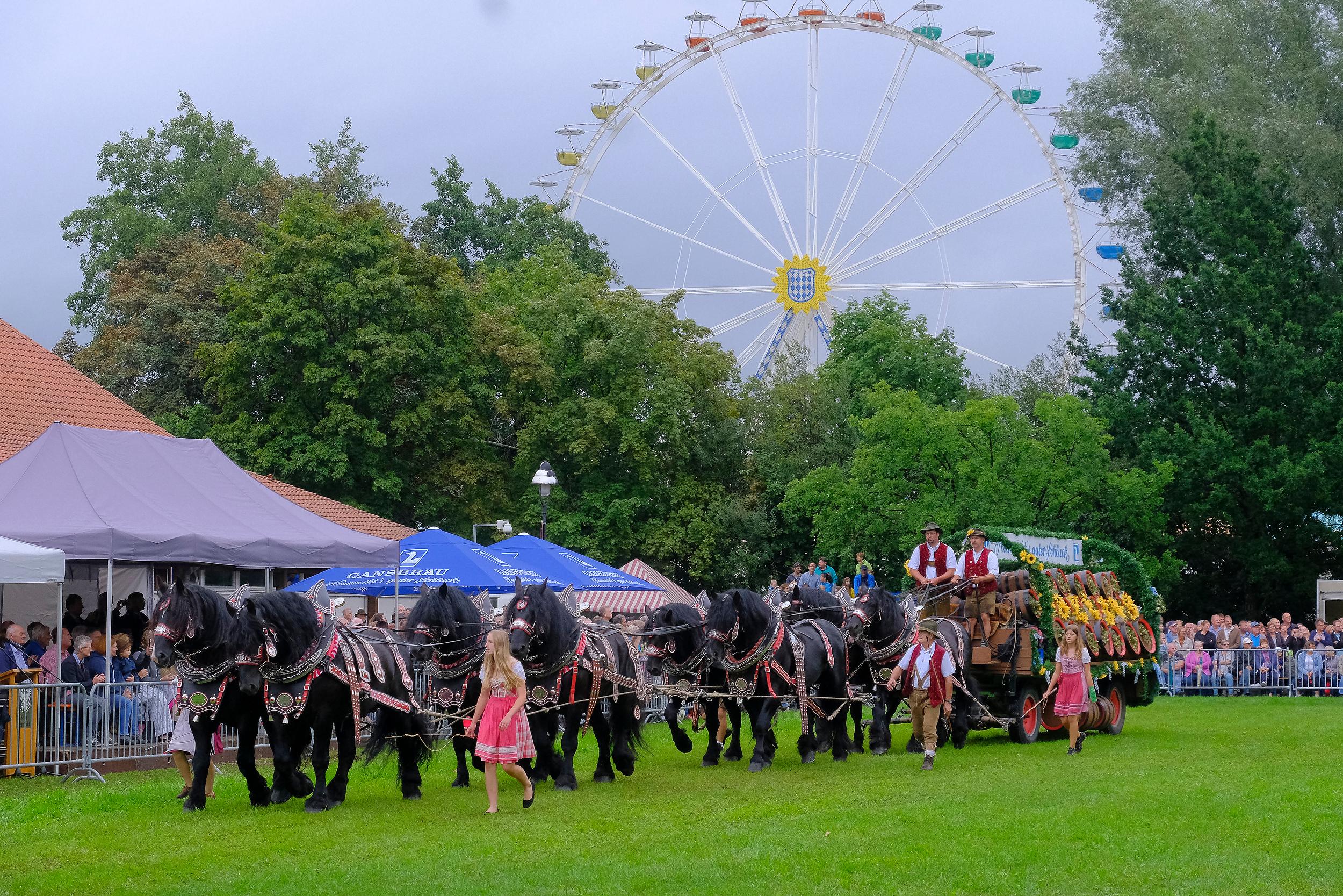 Das beliebte Volksfest in Neumarkt in der Oberpfalz muss in diesem Jahr ausfallen. Ersatzweise findet es im kommenden Jahr vom 6. bis 16. August statt. Dann hoffentlich auch wieder mit dem beliebten Festzug.