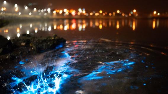 Verheiratet Auf Den Ersten Blick Die Tasch Herz Aktien