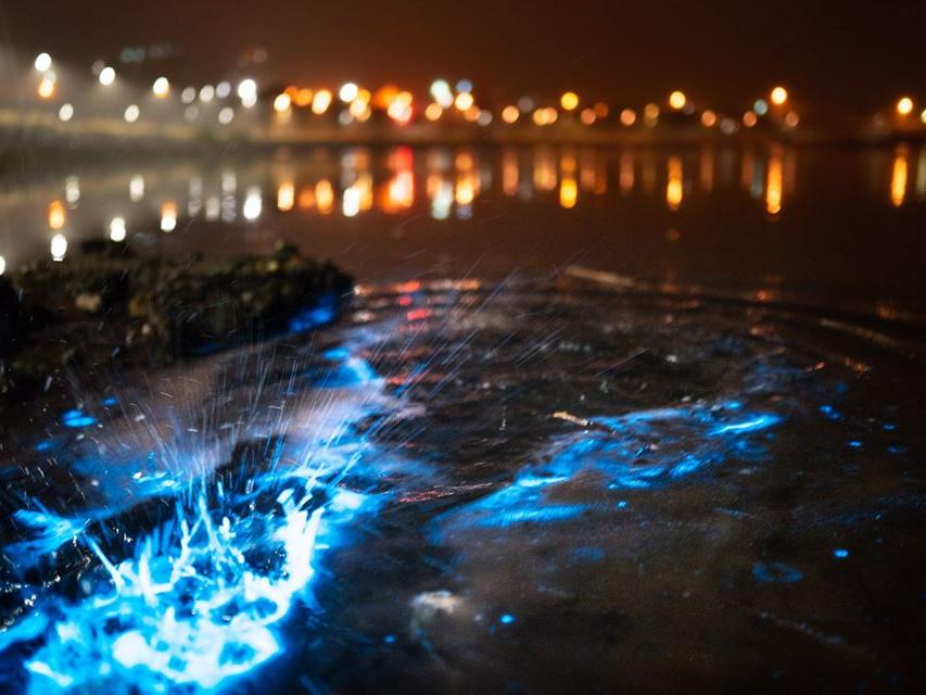 Hochzeit Auf Den Ersten Blick In Sat 1 4 Scheidungen Ein Paar