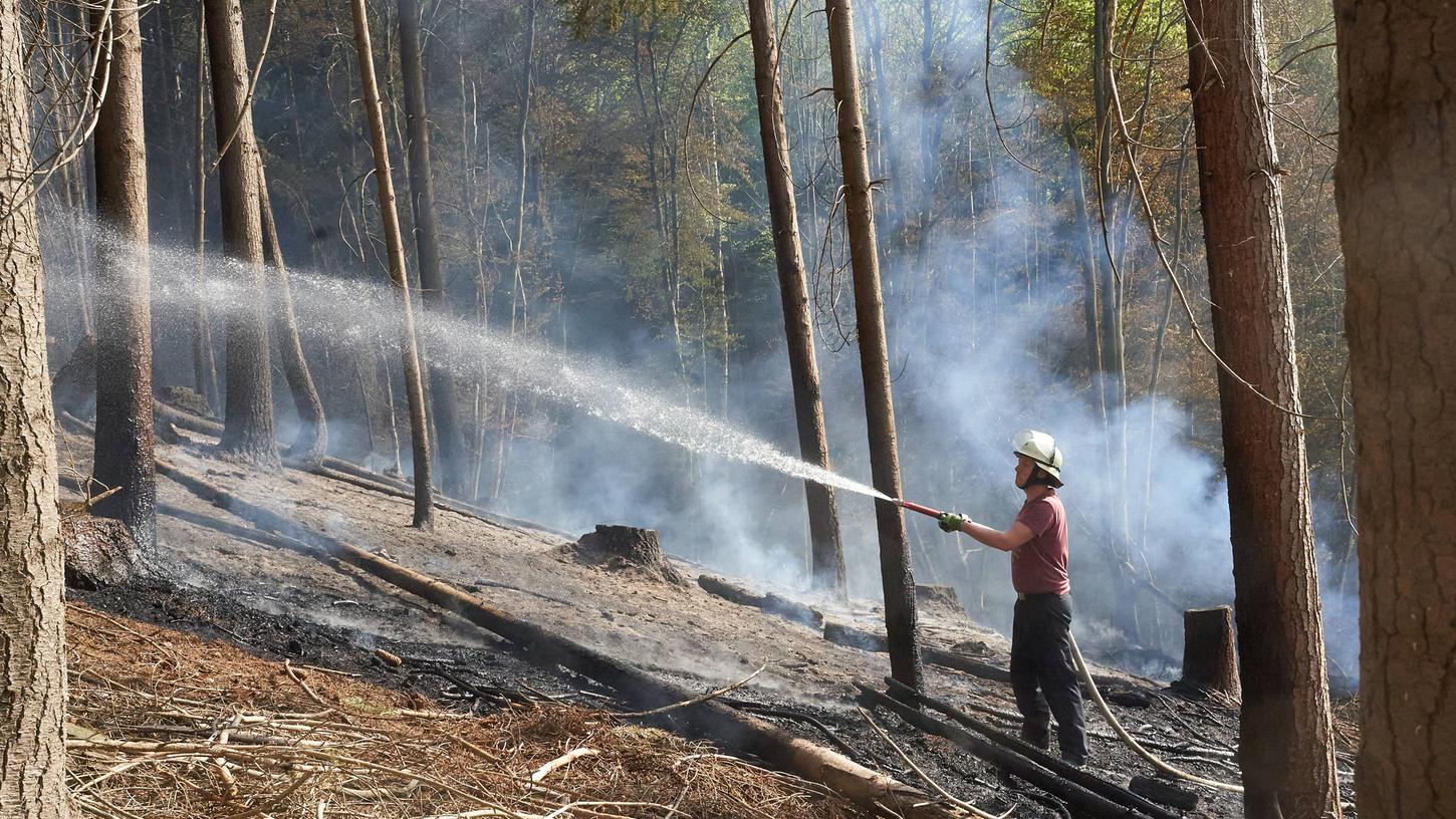 In Franken gerieten in den letzten Wochen auffallend viele Waldstücke in Brand.