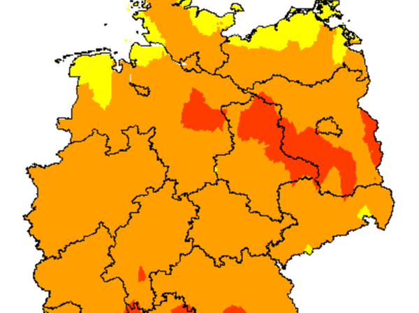 Waldbrände und Beobachtungsflüge: Droht Franken die Dürre?