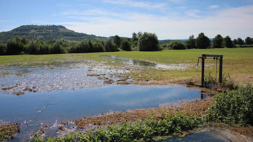 Wässerwiesen im Kreis Forchheim sind jetzt Kulturerbe