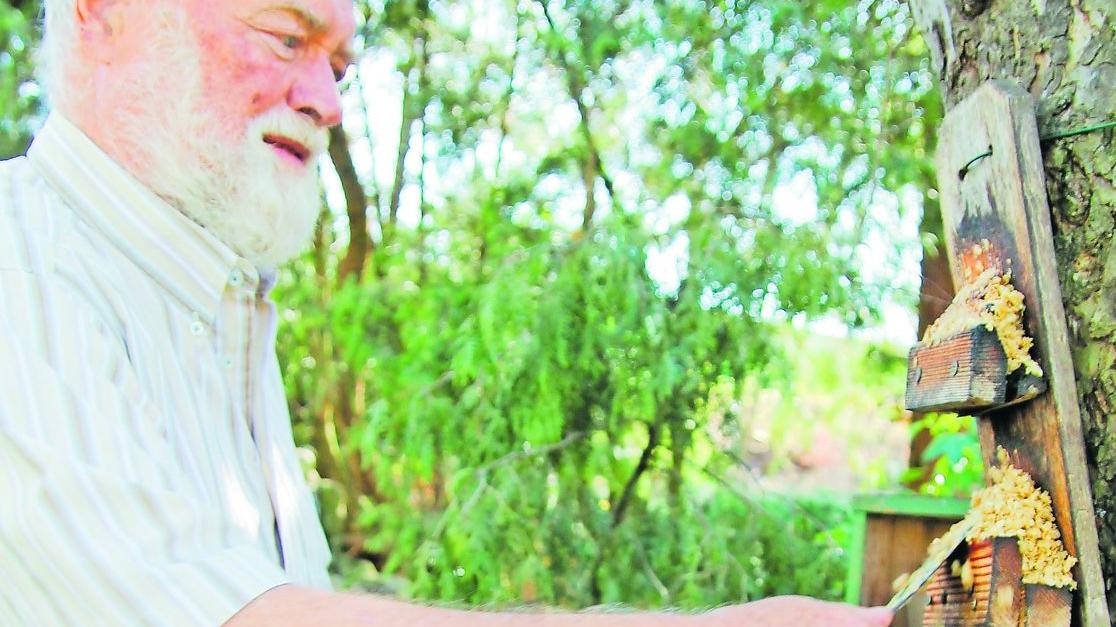 Veitsbronn: Günter Löslein deckt Vögeln den Tisch