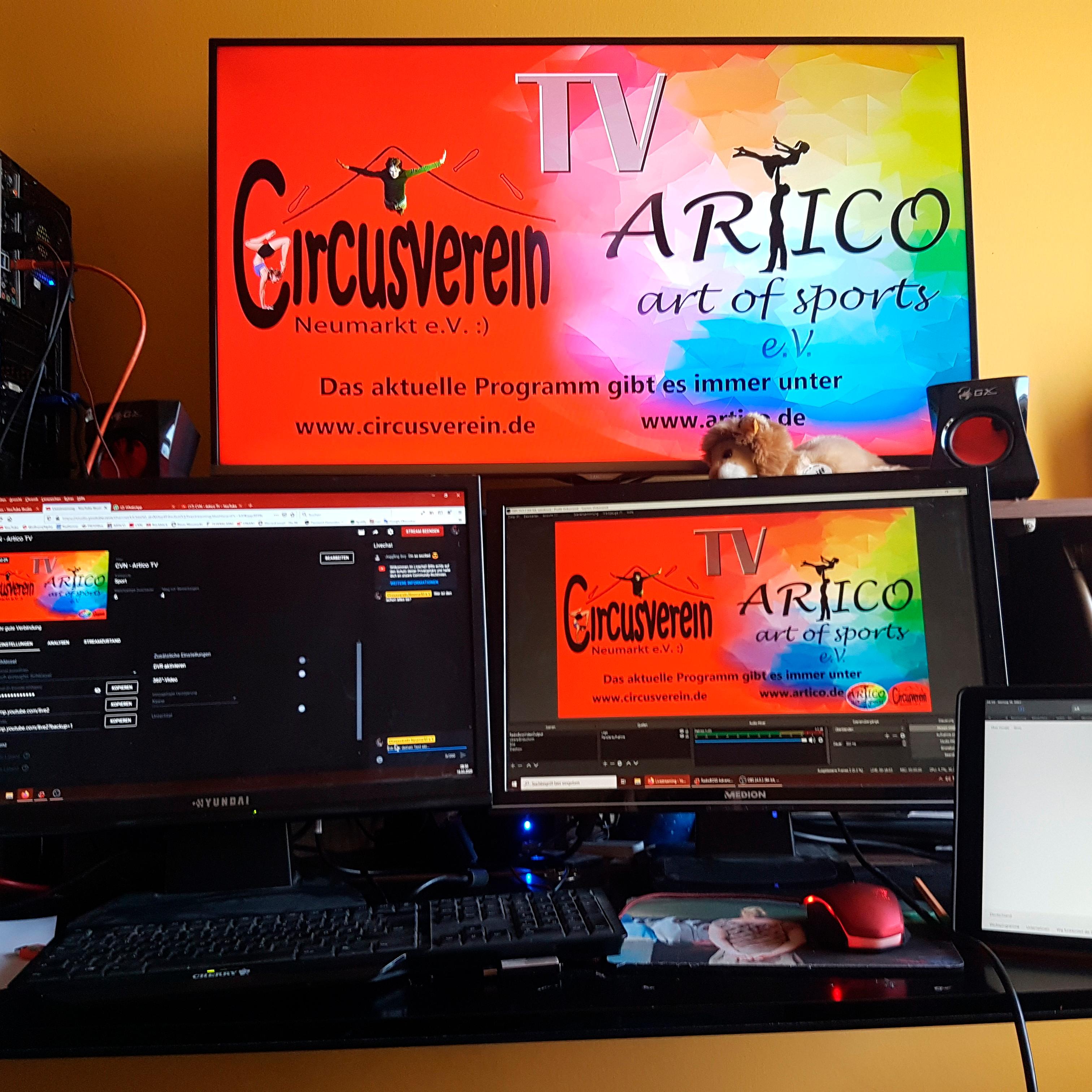 Der Exoten-Verein katapultierte sich mit einem satten Mitgliederplus weit nach oben. Doch abzüglich von circa 300 noch nicht berücksichtigter Kurzabo-Kündigungen liegt die aktuelle Zahl bei 1605. Bei Artico dreht sich fast alles um Tanz, Artistik und Musik.