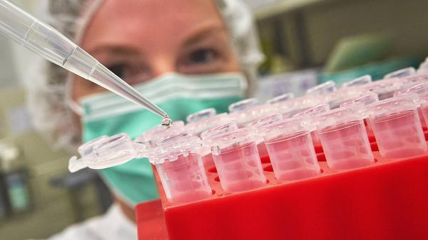 imago images 99770659