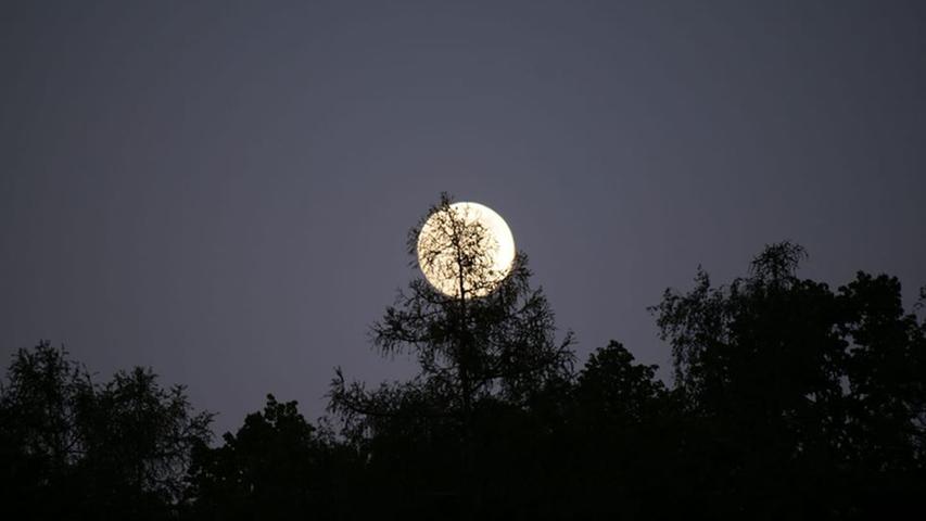 User-Bilder: Vollmond fasziniert am Nachthimmel