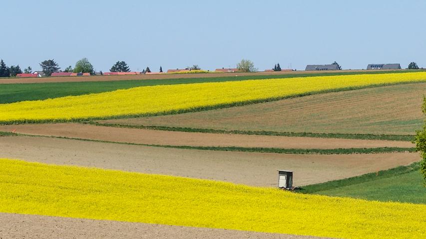 Harmonisch in gelb, braun und grün: Die Farben des Frühlings zwischen Heroldsberg und Kalchreuth.