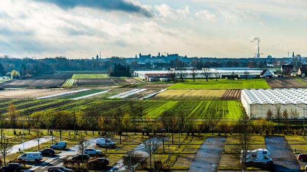 Wer am Autokino teilnehmen möchte, muss sich bereits zuvor online ein Ticket kaufen. Vor-Ort-Verkäufe gibt es aktuell bei den allermeisten Anbietern wegen Corona nicht. Vielmehr wird versucht, den Einlass komplett kontaktlos zu gestalten. Autokinofans müssen vorab also ein Ticket kaufen und auch virtuell bezahlen. Das Ticket bekommt man dann meist per Mail zugesendet. Diese Mail oder ein ausgedrucktes Exemplar des Tickets müssen die Besucher dann bei der Einfahrt bereithalten, sodass der QR-Code durch die Fensterscheibe hindurch gescannt werden kann.