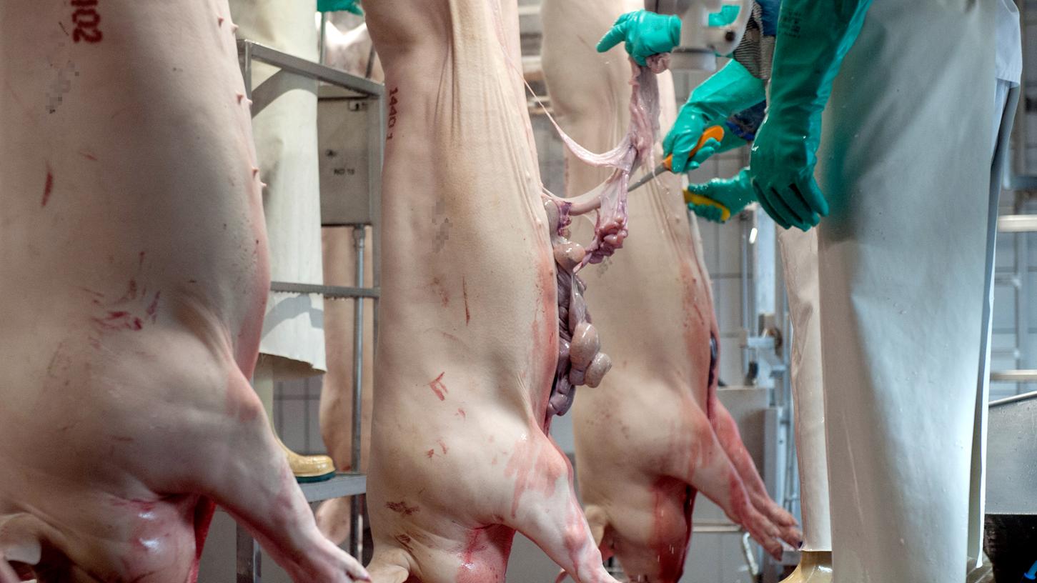 Über 200 Arbeiter einer Fleischfabrik wurden positiv auf das Corona-Virus getestet.