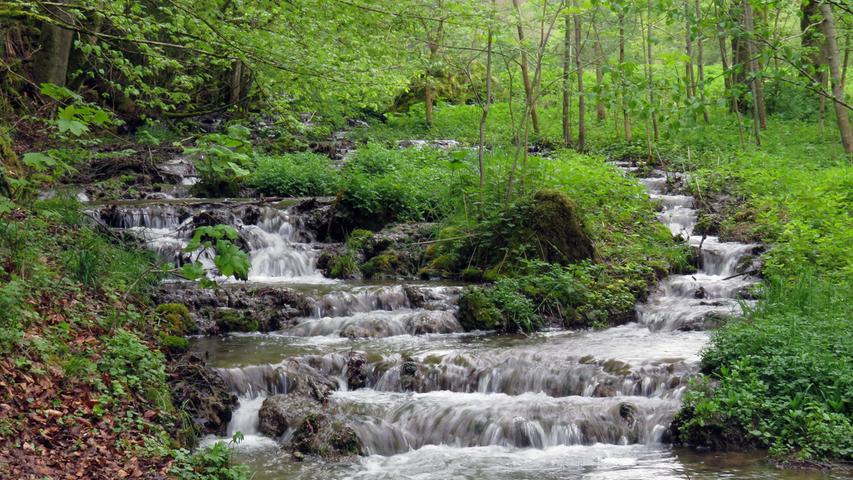 Rauschendes Wasser und sattes Grün - so erfreut der Mai im Todsfeldtal bei Egloffstein.
