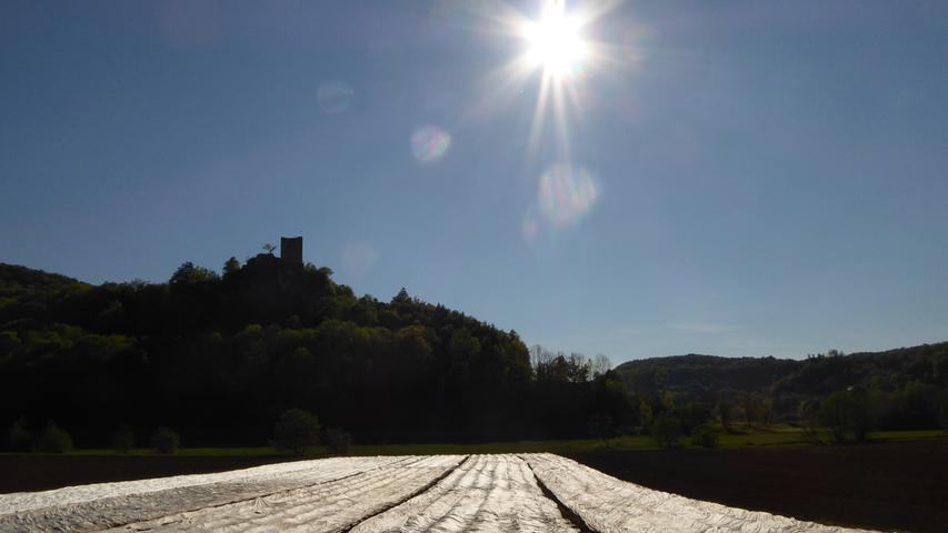 Die Sonne bringt die Folien der Gemüsefelder in der Fränkischen Schweiz zum Glänzen. Über allem thront die Burgruine Neideck.