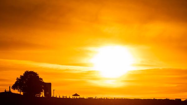 Autokino zwischen den Reben