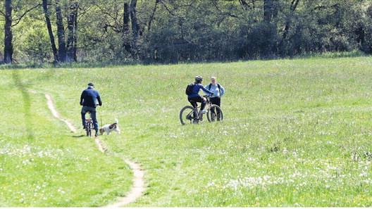 Eigentlich verboten: Hunde dürfen im Naturschutzgebiet nicht ohne Leine laufen, Radler müssen die befestigten Wege benutzen.