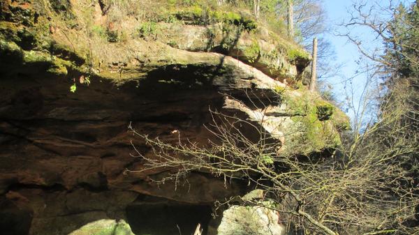 Südöstlich von Nürnberg, bei Schwarzenbruck, lockt der Schwarzachklamm-Wanderweg in die Natur. Hier laufen Sie in einem engen Tal zwischen Sandfelsen und durch Höhlen immer am Wasser entlang bis zu einem der schönsten Biergärten der Region. Zurück können sie den Alten Kanal entlangwandern - zu erreichen ist das Ziel über den S-Bahnhof Ochenbruck.