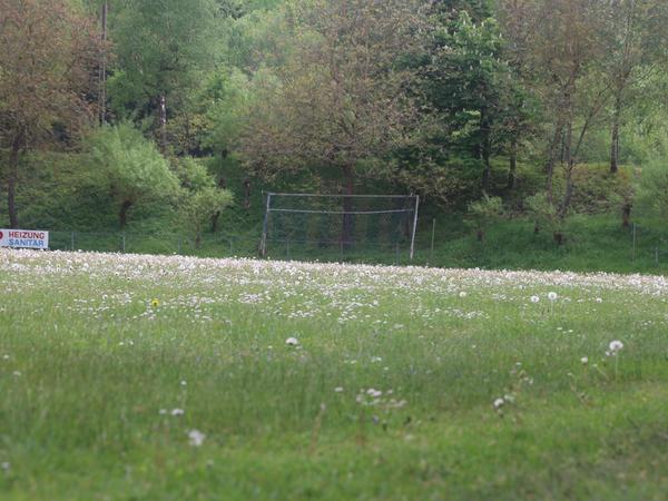 Die Natur hatte sich den A-Platz zurückerobert - doch inzwischen sanieren Gärtner das Gelände. Die Natur hatte sich den A-Platz zurückerobert - doch inzwischen sanieren Gärtner das Gelände.