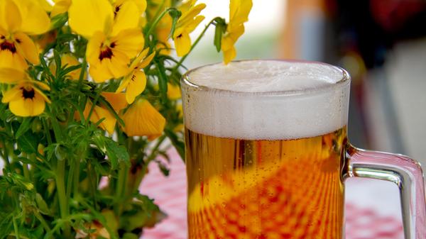 Die Gaststätte zum Weiherhof in Zirndorf bietet eine bayerische Speisekarte. Außerdem gibt es eine extra Schnitzel- und Karpfenkarte, damit jeder Gast auf seine Kosten kommt. // Weiherhofer Hauptsraße 25a