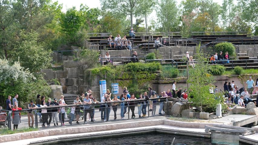 Schlangen und geschlossene Kioske: Bilder vom ersten Tiergarten-Wochenende!