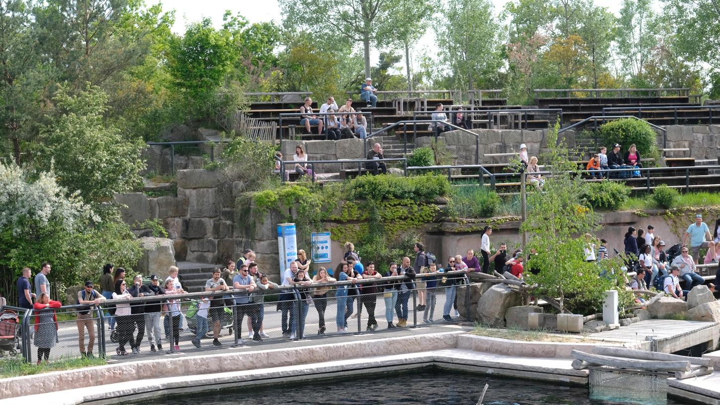 Mit Sicherheitsabstand wieder möglich sind Besuche im Nürnberger Tiergarten. Mit einer Note Mit Sicherheitsabstand wieder möglich sind Besuche im Nürnberger Tiergarten. Mit einer Note