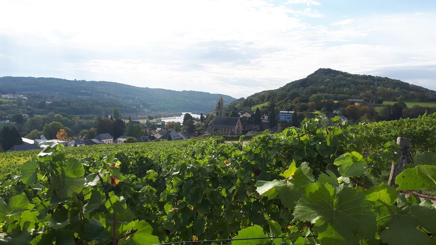 In den Weinbergen oberhalb des kleinen Städtchen Schengen bietet sich ein weiter Rundblick über die Mosel nach Frankreich und nach Deutschland. Es gibt sogar Weine, die mit Trauben von Reben aus allen drei Ländern ausgebaut werden.