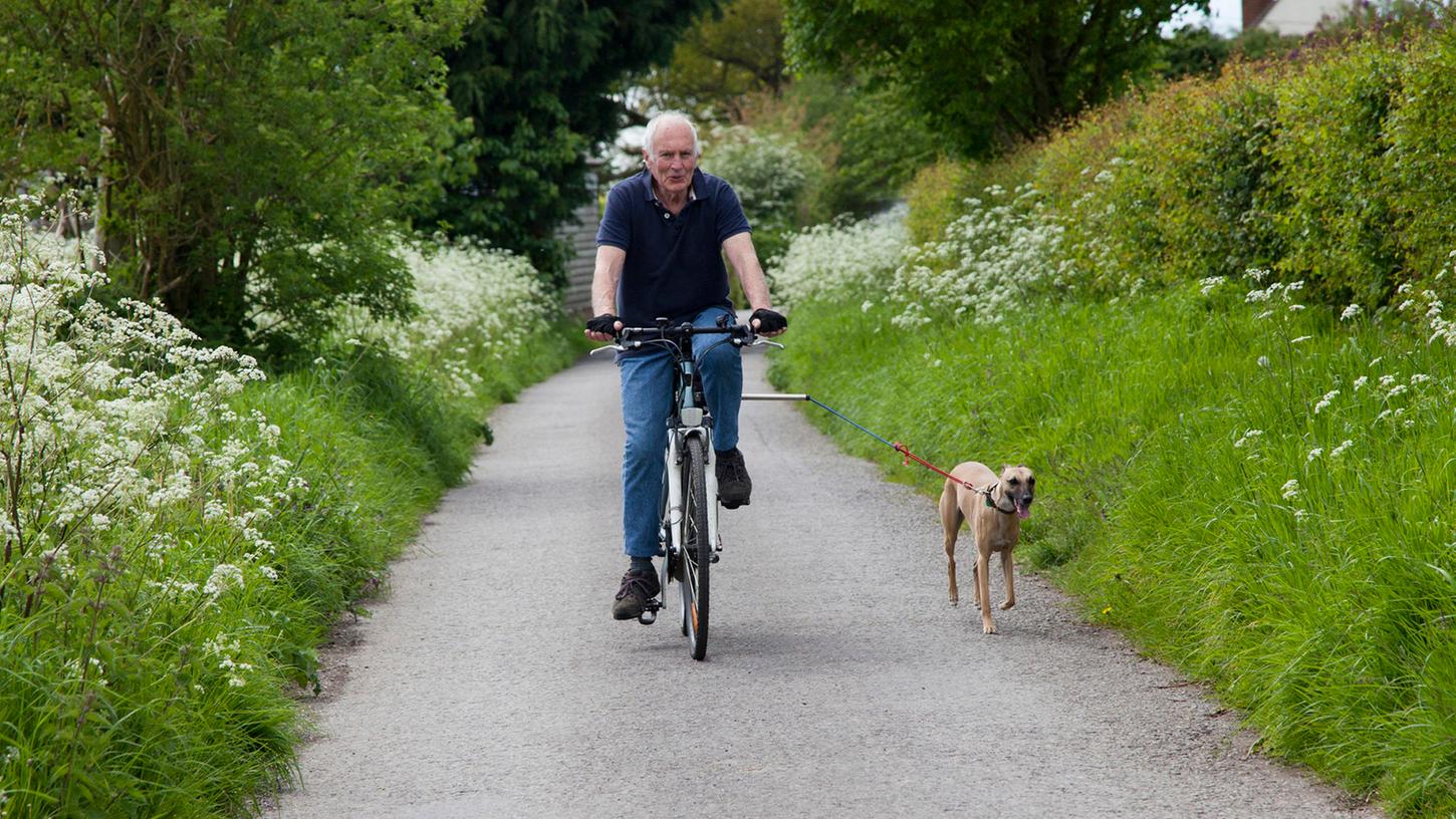 Mit Hund und Fahrrad