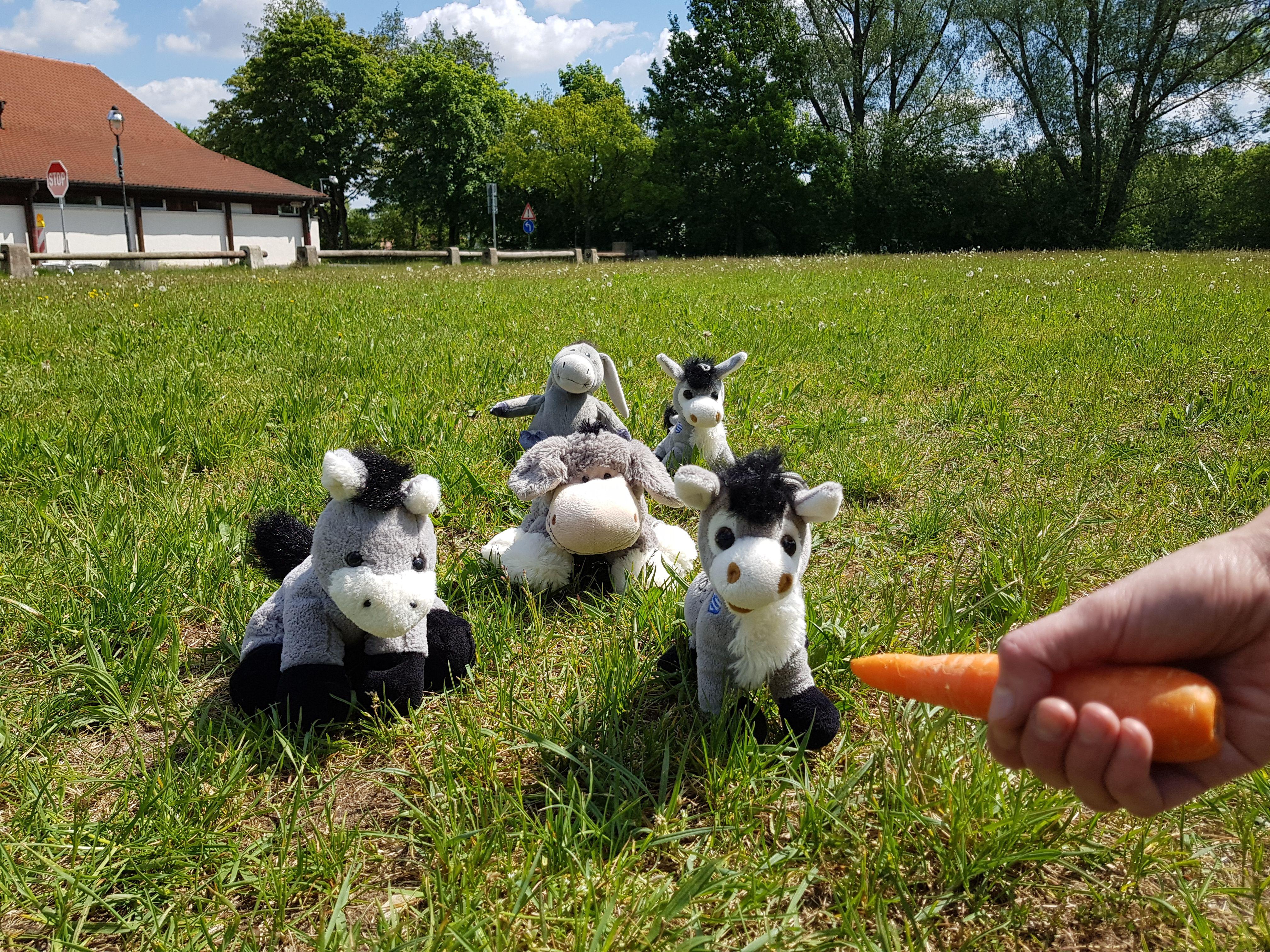 Das Neumarkter Frühlingsfest 2020 fällt aus.