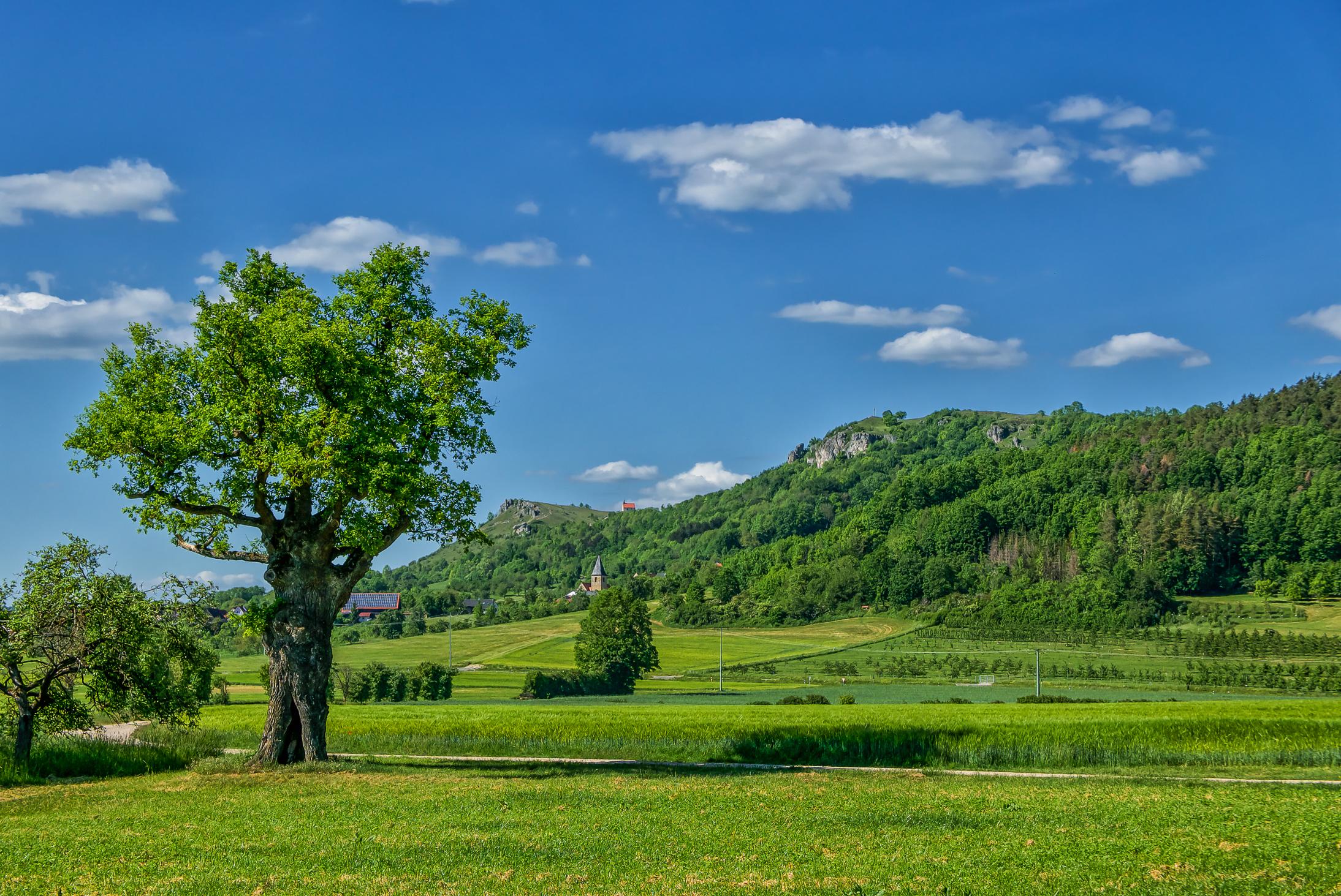 Winfried Lösel aus Kunreuth hat diesen ungewohnten Blickwinkel aufs Walberla am Himmelfahrtstag eingefangen.