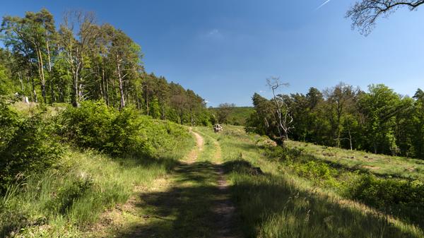 Wanderqualität im Doppelpack bietet das Spessart-Mainland, hat es doch mit dem "Spessartweg 1 – Von Fürsten, Fuhrleuten und Pilgern" und dem "Spessartweg 2 – Über Berg und Tal zum Main" gleich zwei spannende Strecken zu bieten. Von Aschaffenburg bis Gemünden am Main und damit von West nach Ost verläuft der erste, der zweite zieht sich von Heigenbrücken südwärts nach Stadtprozelten. In Waldaschaff treffen beide aufeinander und bilden so ein Wanderkreuz.