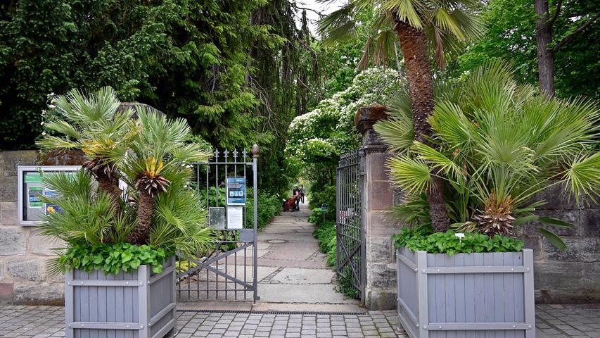 Die Gewächshäuser bleiben zwar geschlossen, die Gartenanlage und der Aromagarten sind täglich von 8 Uhr bis 16 Uhr für die Besucher offen. Im Botanischen Garten in der Loschgestr. 1 - 3 in Erlangen kann man im abwechslungsreichen Grün super entspannen. 