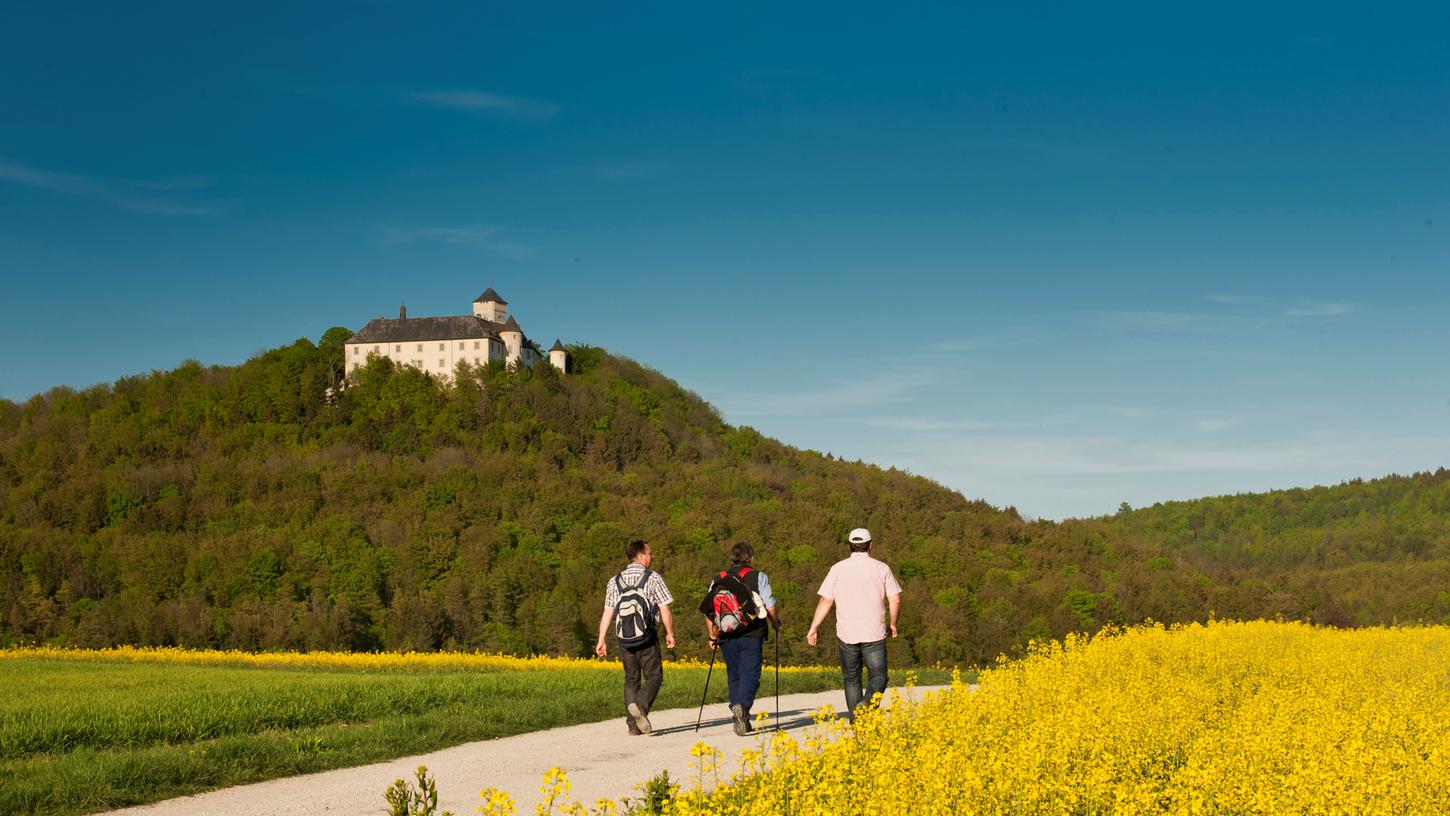 Der Landkreis Bamberg bietet zahlreiche Ausflugsmöglichkeiten, im Hintergrund sehen Sie das Schloss Greifenstein.