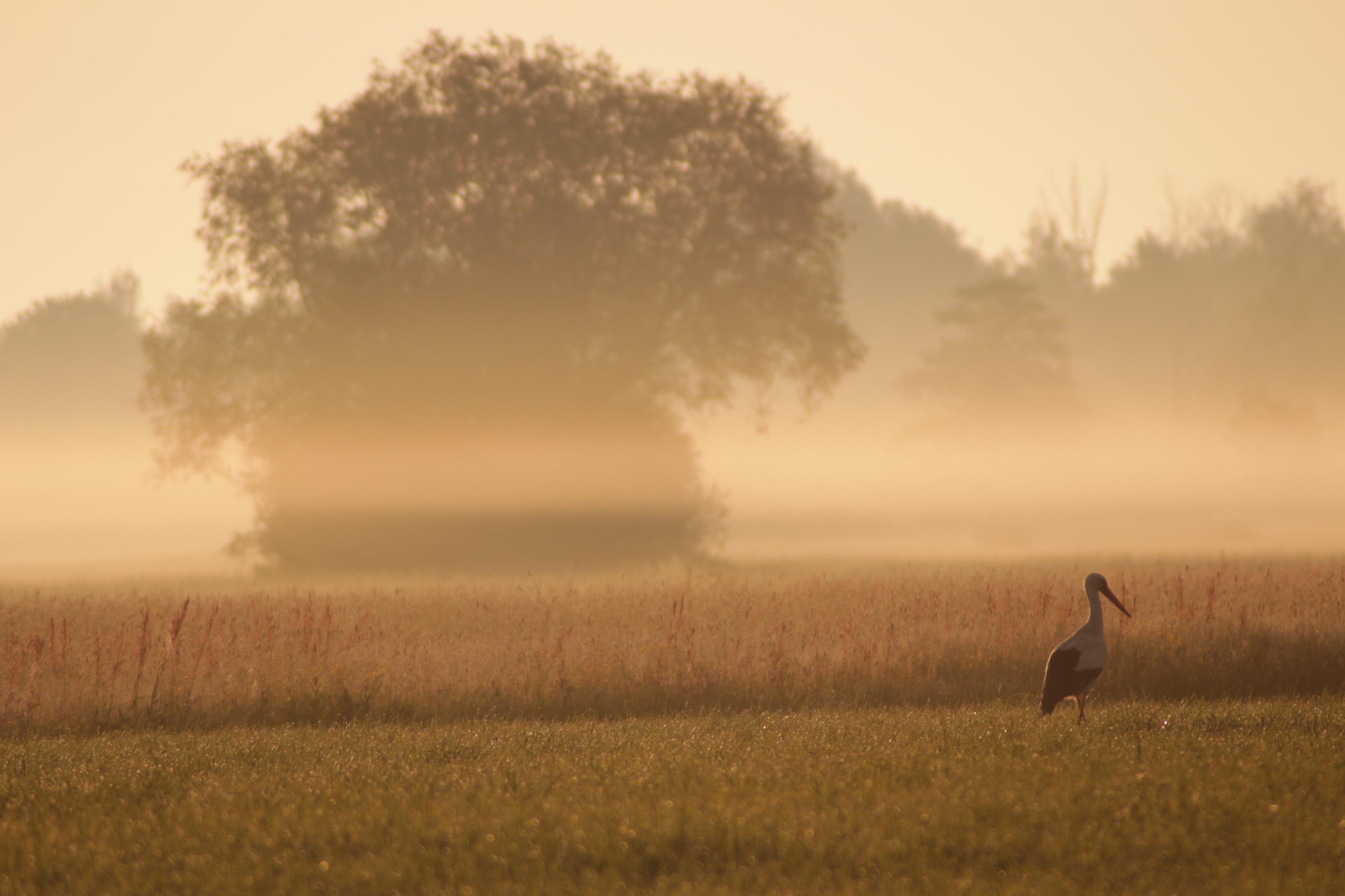 Der "Kräuter-Rundweg" zweigt vom zentralen Aischtalradweg ab und verbindet die Ortschaften Vestenbergsgreuth, Lonnerstadt und Uehlfeld. Die Route passiert Naturschönheiten wie die Egelsbacher Weiherkette und führt durch Wälder, Wiesen und typisch fränkische Dörfer. Auf der Strecke zwischen Mailach und Lonnerstadt geben Tafeln Auskunft über die Herkunft, den Anbau und die Verwendung der dort angebauten Pflanzen. Besonderen Reiz versprüht der Kräuter-Rundweg, wenn der lila Sonnenhut blüht und die grüne Zitronenmelisse duftet. Insgesamt ist die Strecke 23,9 Kilometer lang mit 116 Höhenmetern. Der tiefste Punkt liegt bei 270 Metern, der höchste bei 365 Metern. 