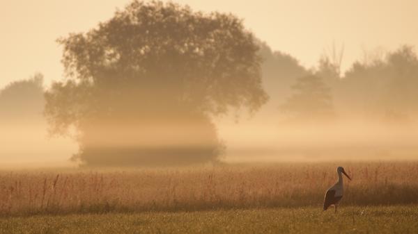 Der "Kräuter-Rundweg" zweigt vom zentralen Aischtalradweg ab und verbindet die Ortschaften Vestenbergsgreuth, Lonnerstadt und Uehlfeld. Die Route passiert Naturschönheiten wie die Egelsbacher Weiherkette und führt durch Wälder, Wiesen und typisch fränkische Dörfer. Auf der Strecke zwischen Mailach und Lonnerstadt geben Tafeln Auskunft über die Herkunft, den Anbau und die Verwendung der dort angebauten Pflanzen. Besonderen Reiz versprüht der Kräuter-Rundweg, wenn der lila Sonnenhut blüht und die grüne Zitronenmelisse duftet. Insgesamt ist die Strecke 23,9 Kilometer lang mit 116 Höhenmetern. Der tiefste Punkt liegt bei 270 Metern, der höchste bei 365 Metern.