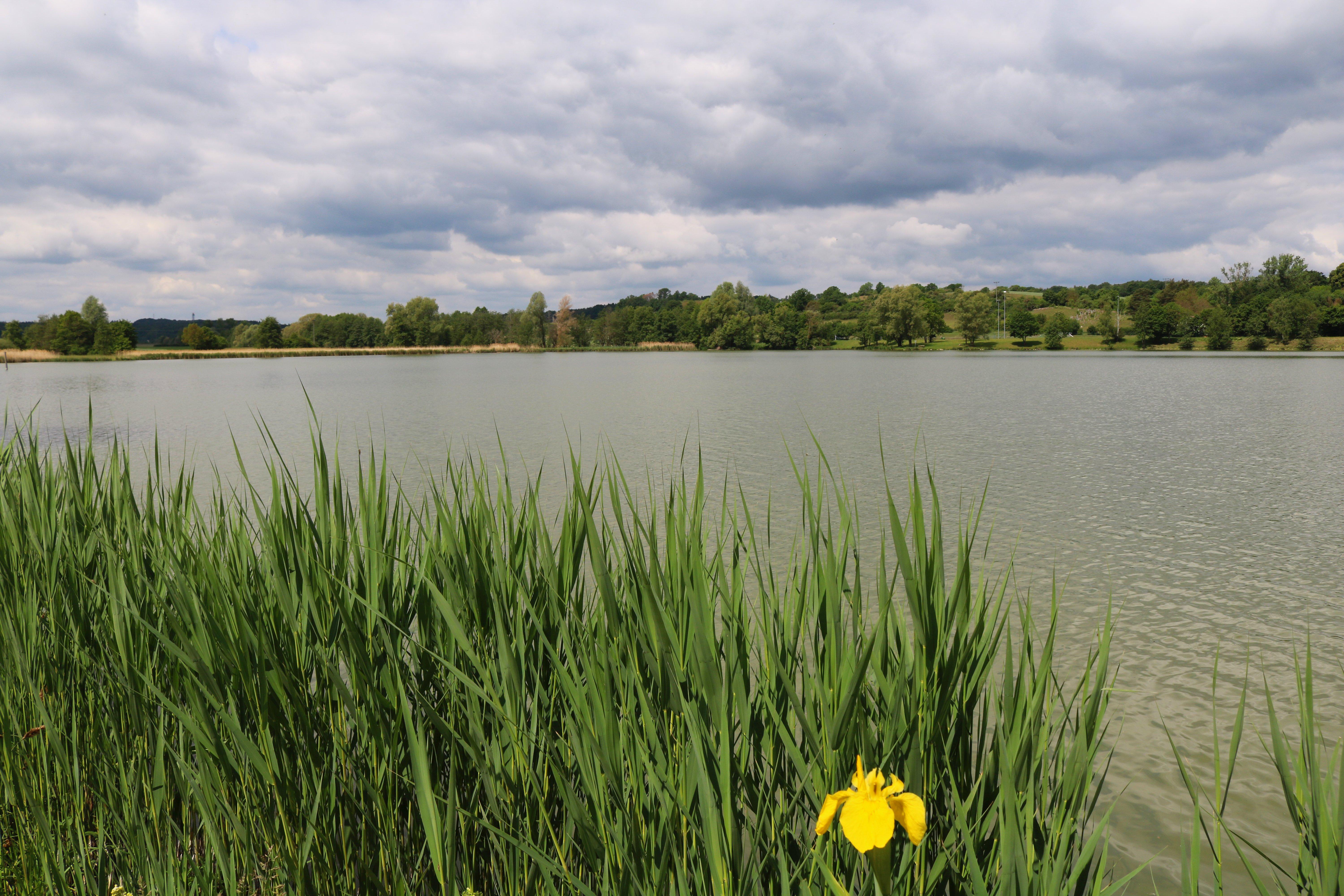 Die "Zenngründer Museumsrunde" von Bad Windsheim über Obernzenn, Trautskirchen, Markt Erlbach und Weimersheim ist insgesamt 54,9 Kilometer lang, mit 377 Höhenmetern. Der tiefste Punkt liegt bei 304 Metern, der höchste bei 447 Metern.