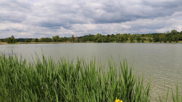 Die "Zenngründer Museumsrunde" von Bad Windsheim über Obernzenn, Trautskirchen, Markt Erlbach und Weimersheim ist insgesamt 54,9 Kilometer lang, mit 377 Höhenmetern. Der tiefste Punkt liegt bei 304 Metern, der höchste bei 447 Metern.
