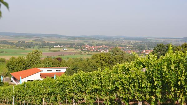 Die "Bocksbeutelrunde" von Ipsheim über Bad Windsheim, Ergersheim, Seenheim, Uffenheim, Ippesheim, Weigenheim, Markt Nordheim, Sugenheim und Rüdisbronn ist stolze 98,3 Kilometer lang und hat 584 Höhenmeter. Er geht vorbei an Weinbergen, wie hier in Ipsheim. Der tiefste Punkt liegt bei 241 Metern, der höchste bei 397 Metern.
