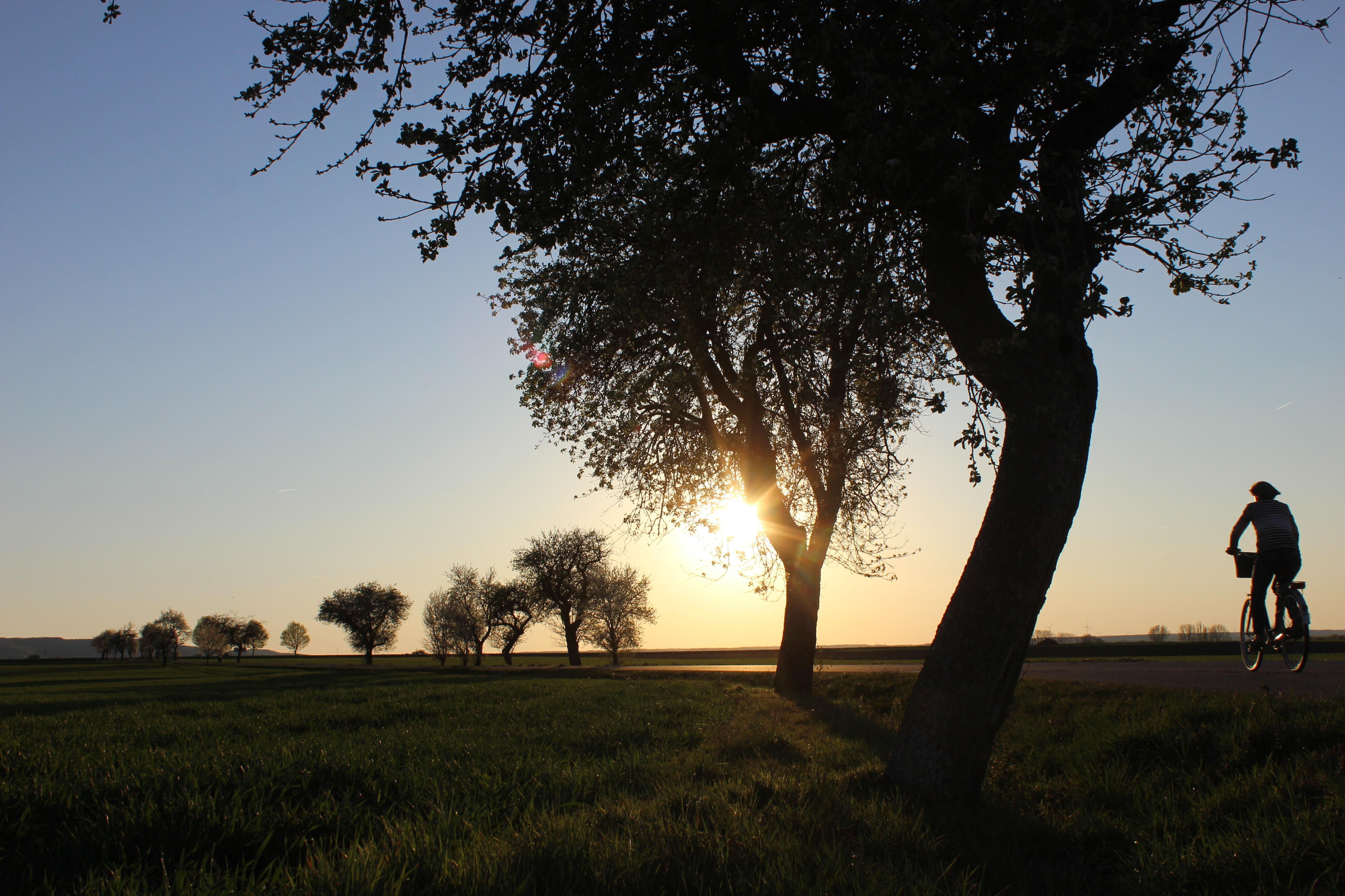 Der "Aischgründer Genuss-Radweg" führt von Neustadt über die Ortschaften Unterschweinach, Eichelberg, Ipsheim, Dietersheim, Langenfeld und Ehe und ist damit insgesamt 70,1 Kilometer lang. Der tiefste Punkt der Strecke liegt bei 280 Metern, der höchste bei 423 Metern. Insgesamt müssen Radfahrer 464 Höhenmeter zurücklegen. 